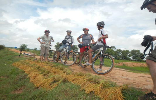 Siem Reap Cycling Tour